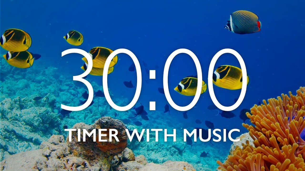30 Minute Timer with Relaxing Music and Alarm – Underwater Background