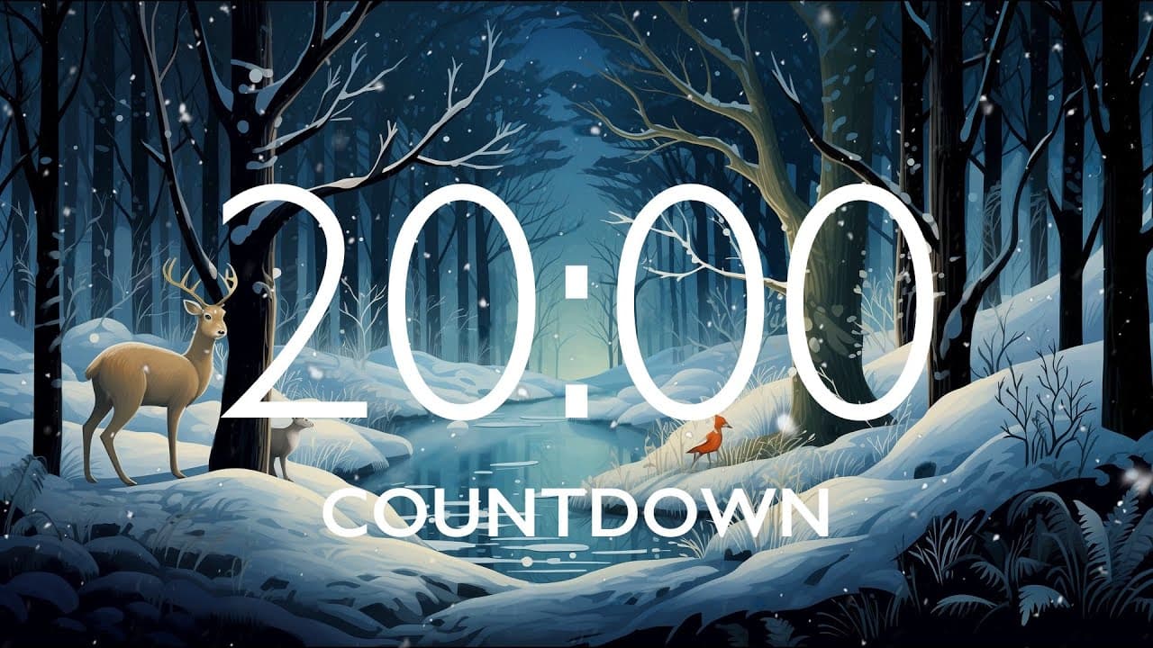 20 Minute Timer with Relaxing Music and Alarm – Snow Night Background, Version 3