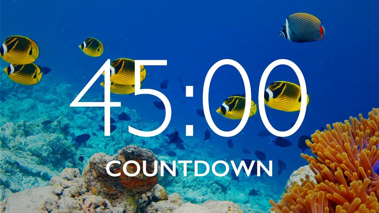 45 Minute Timer with Relaxing Music and Alarm – Underwater Background