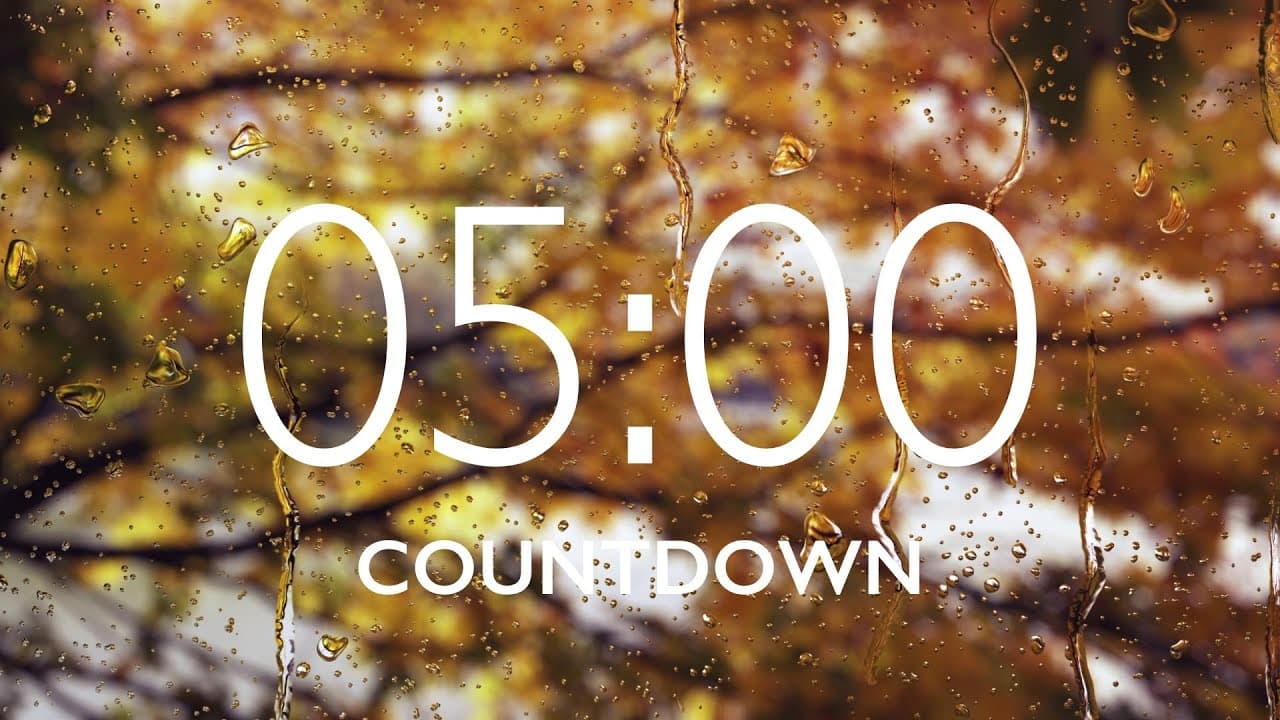 5 Minute Timer with Relaxing Music and Alarm – Autumn Leaves Background