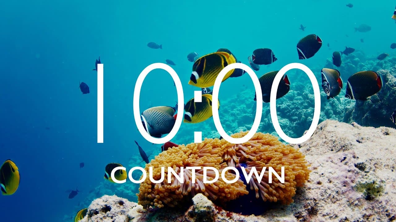 10 Minute Timer with Relaxing Music and Alarm – Underwater Background