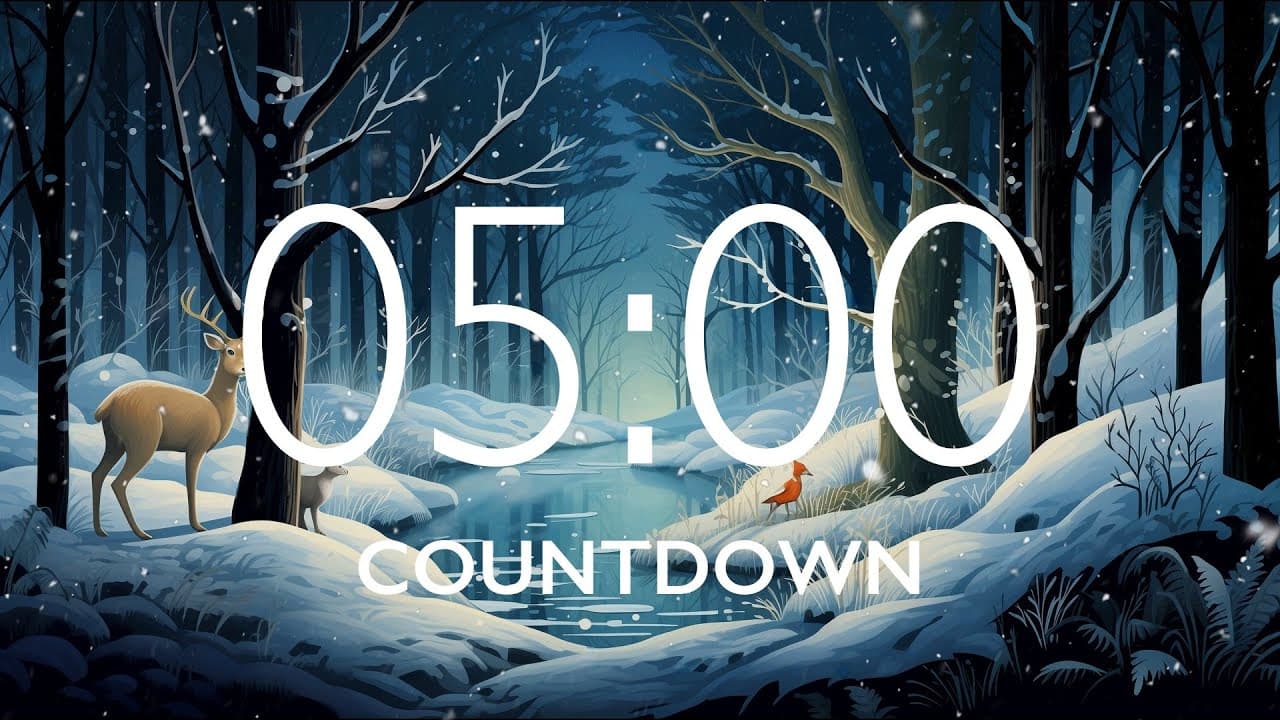 5 Minute Timer with Relaxing Music and Alarm – Snow Night Background, Version 3