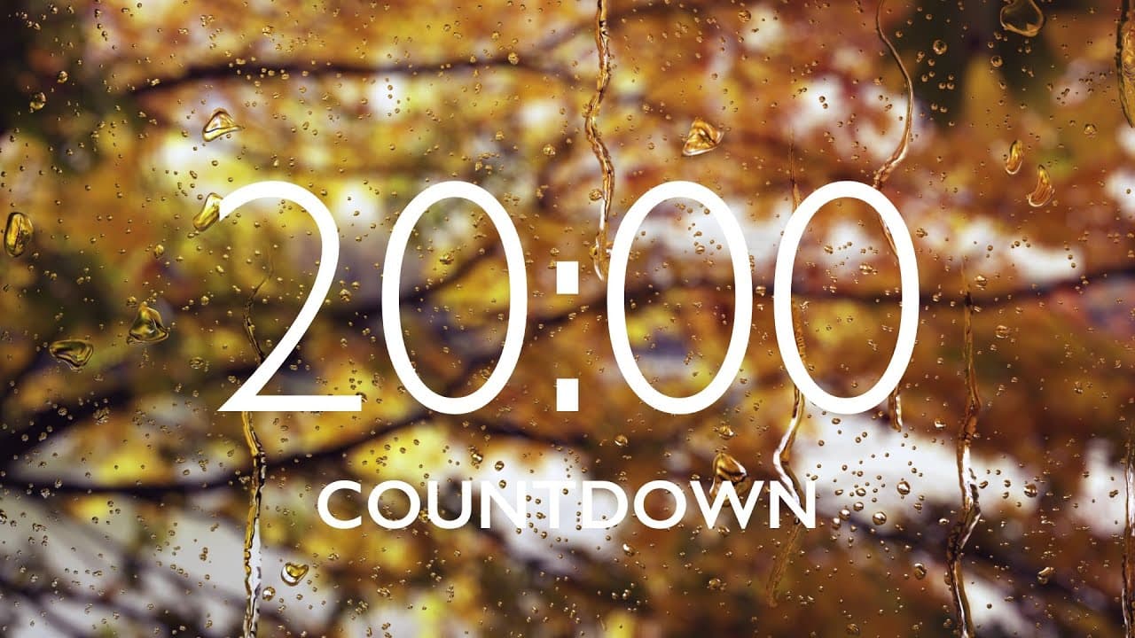 20 Minute Timer with Relaxing Music and Alarm – Autumn Leaves Background