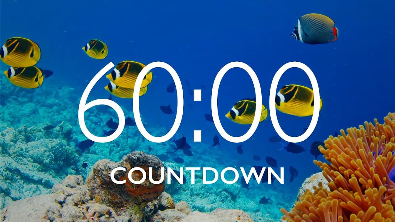 60 Minute Timer with Relaxing Music and Alarm – Underwater Background